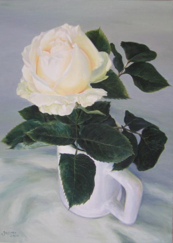 biała róza